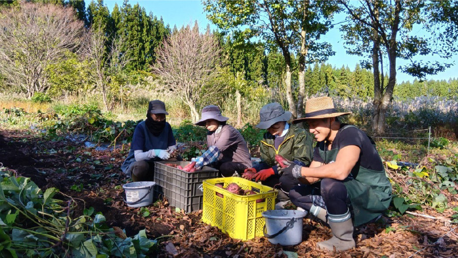 現地に訪問・体験してみる のイメージ画像
